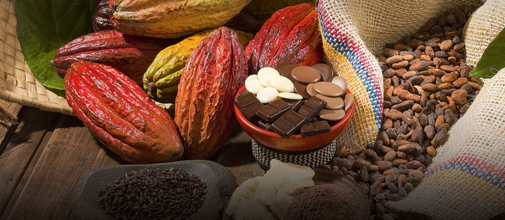 Global Cocoa Crisis: Insights for Food Service Professionals