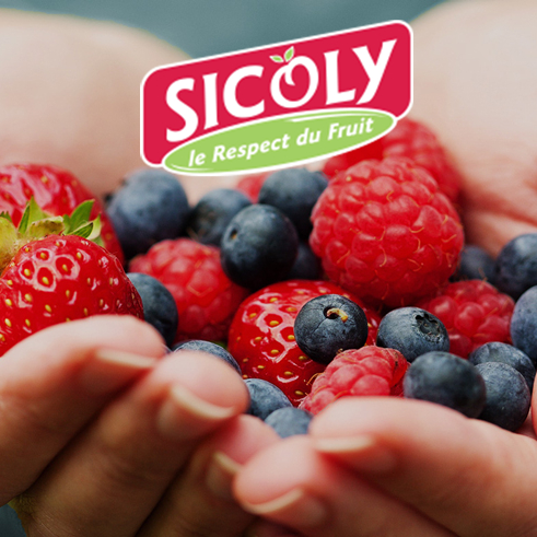 The Best Frozen Fruit Choice on the Market: Sicoly
