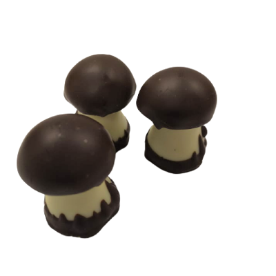 Chocolate Caramel Mushrooms 2kg - MICHEL CLUIZEL