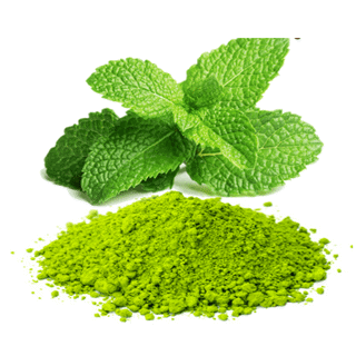 Colouring Green Mint Powder Water Soluble 1kg - SEVAROME 