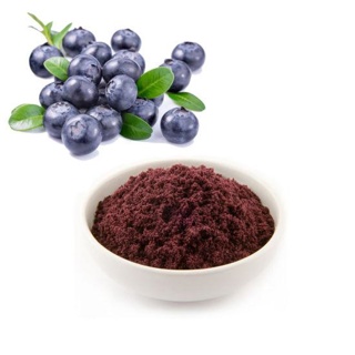 Colouring Red Blueberry Powder Water Soluble 1kg COL5115/1 - SEVAROME