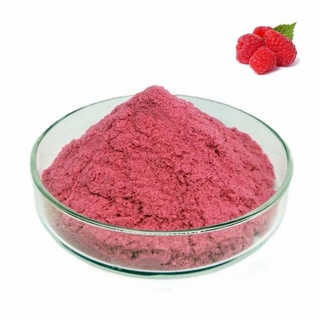 Colouring Red Raspberry Powder Water Soluble 1kg COL5112/1 - SEVAROME