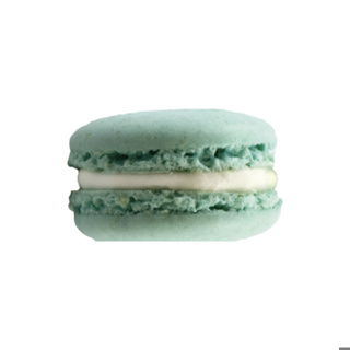 Frozen Macaron Mint Glacial Franck Deville | Box w/35pcs