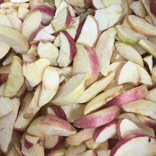 Freeze Dried Apple Quarters Gourmet de Paris 100gr Bag