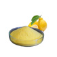 Colouring Yellow Lemon Powder Water Soluble 1kg COL5101/1 - SEVAROME