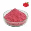 Colouring Red Raspberry Powder Water Soluble  COL5112/1 Sevarome 1L Bottle