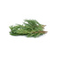 Frozen IQF Rosemary Daregal 250gr Pack
